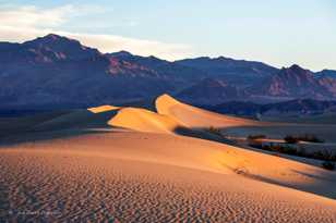 Mesquite Dunes-6134.jpg